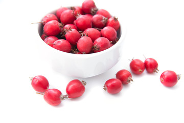Berries Crataegus Oxyacantha, which is also known as Hawthorn. Berries are in the white cup, isolated over white background. Health concept. Herbal medicine. Selective focus