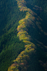 ナメゴ谷の紅葉