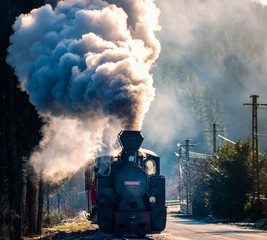 Narrow gauge train in Romania