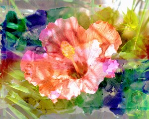 Floral Photographic Art