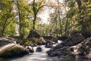 Naklejka na ściany i meble silky waterfall of a river in the heart of a forest