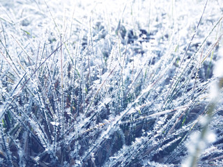 winter background with snowflakes crystals patterns and snow on frozen grass