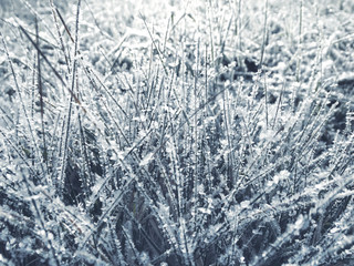 winter background with snowflakes crystals patterns and snow on frozen grass