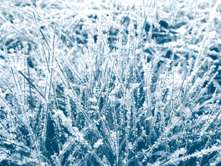 winter background with snowflakes crystals patterns and snow on frozen grass
