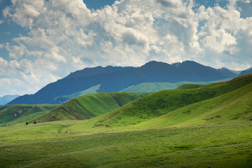 Fototapeta na wymiar Mountain nature landscape of grassy green meadow on blue sky background