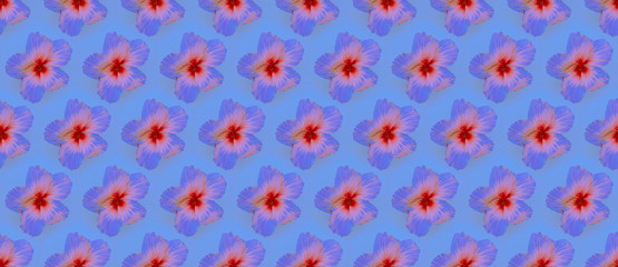 Seamless pattern. Flowers background.Use for print