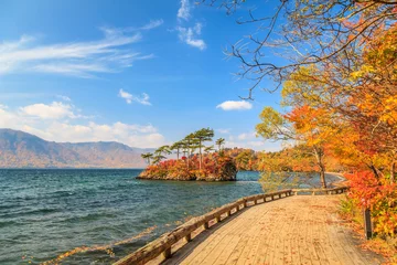 Selbstklebende Fototapeten Fallen View of Lake Towada in autumn season, Towada Hachimantai National Park, Aomori, Japan  © omjai