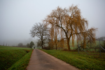 A misty morning in the hills of Upper Franconia, germany 