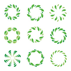 Fototapeta na wymiar Frame of the leaf. Circle of leaves. Organic green abstract logo. Vector isolated eco border collection.