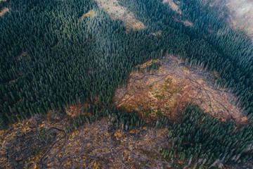 Representative image for Romania because of illegal logging. Romania has the most pristine forests...