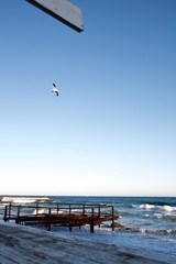 Naklejka na ściany i meble beautiful seagulls flying by the sea