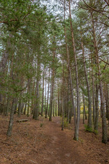 Broto Mountains,Spain