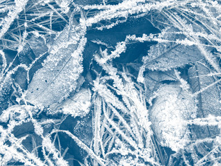 winter background with snowflakes crystals patterns and snow on frozen grass