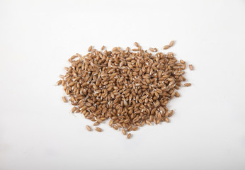 Sprout of wheat in clay bowl Isolated on white background