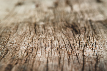 Old rich grain wood background with selective focus.