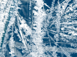 winter background with snowflakes crystals patterns and snow on frozen grass