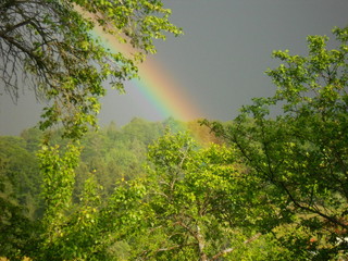 Obraz premium Regenbogen