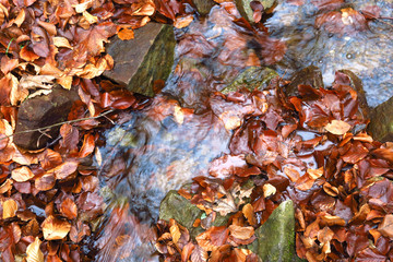 Herbstzeit