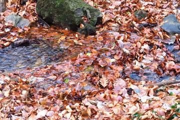 Herbstzeit