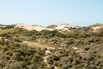 Fototapeta na wymiar Espace naturel Sensible des dunes de la Slack