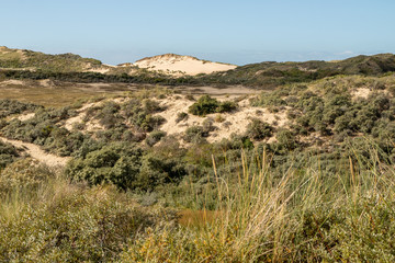 Espace naturel Sensible des dunes de la Slack