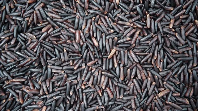 Black rice as natural food background. Top view. Healthy diet gluten free