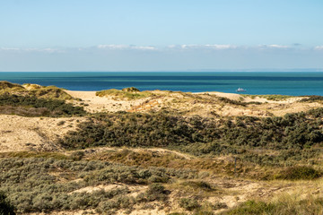 Fototapeta na wymiar Espace naturel Sensible des dunes de la Slack