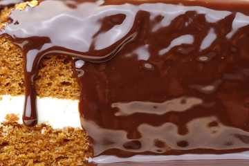 Close-up of Delicious chocolate cakes