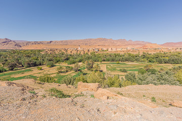 Fields in the foreground and the city of Tinghir in the fertile oasis along the Wadi Todgha