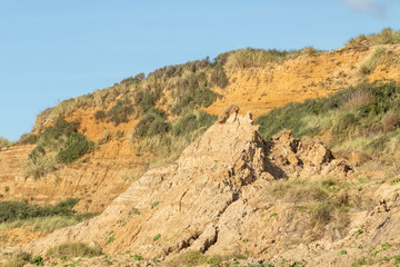 Traces d'érosion sur les falaises au nord de la Pointe aux Oies - Wimereux - Pas-de-Calais