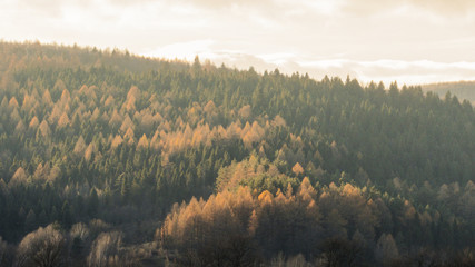 Fototapeta na wymiar mountains in the fog in autumn