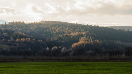 mountains in the fog in autumn