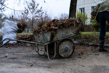 Janitor sweeping a broom yard