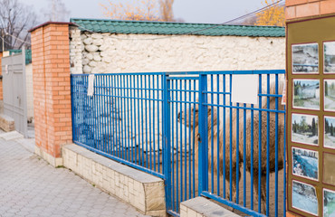 Camel in a cage at the zoo