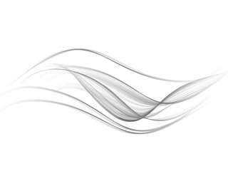 Vector Abstract curved lines background. Grey smoky waves on a white background.