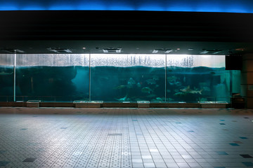 水族園の水槽