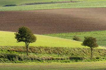 Paysage campagnard vers Halinghen - Pas-de-Calais
