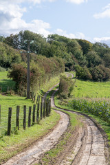 Fototapeta na wymiar Chemin rural dans la campagne près d'Halinghen - Pas-de-Calais.