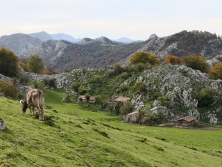 Automne dans les Asturies