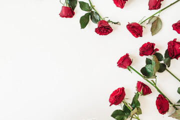 Flat lay red rose flowers pattern on white background. Top view floral texture with copy space for text.