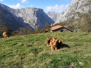 Paysage des Asturies