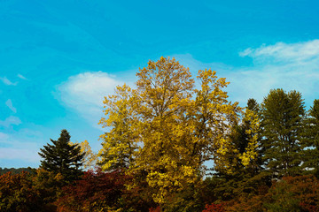 Fototapeta premium view