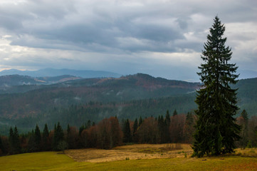 Obraz premium Autumn landscape background in the rain weather with fog