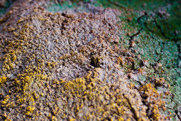Texture wall in abandoned build