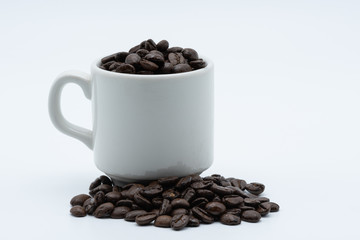 Coffee seed in a coffee cup