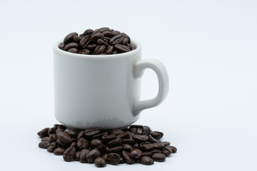 Coffee seed in a coffee cup