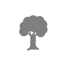 Tree icon on white background
