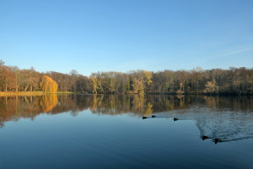 volkspark jungfernheide
