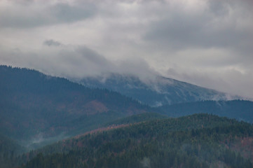 Autumn landscape background in the rain weather with fog