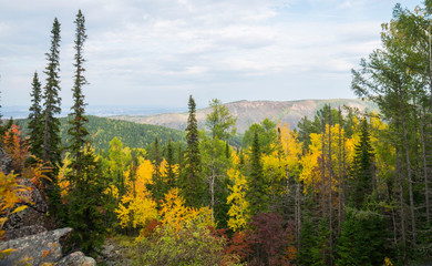 wonderful autumn landscape of mountains and dense coniferous forest